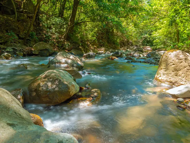 Flusslandschaft mit Steinen und Bäumen.