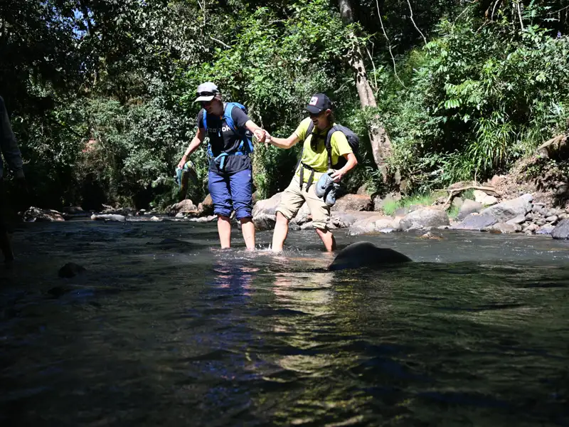 Zwei Wanderer überqueren einen Fluss, indem sie sich gegenseitig Halt geben und auf Steine im Wasser treten.
