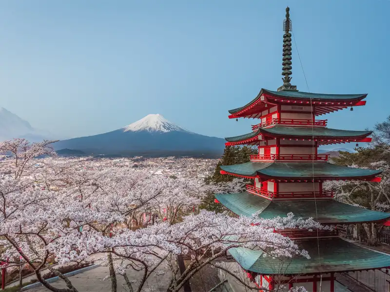 Japanische Pagode mit Kirschblüten und Blick auf den Berg Fuji.