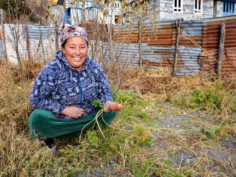 Frau mit geernteter Karotte im Garten.