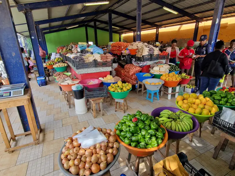 Marktstand mit einer Auswahl an Obst und Gemüse, darunter Zwiebeln, Paprika, Bananen und Orangen.