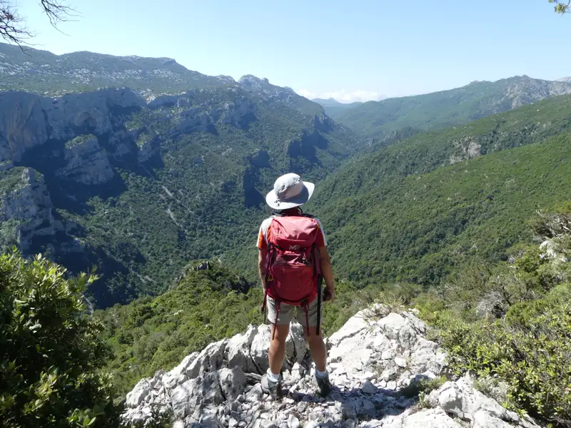 Wanderer auf einem Felsvorsprung mit Blick auf eine bewaldete Schlucht.
