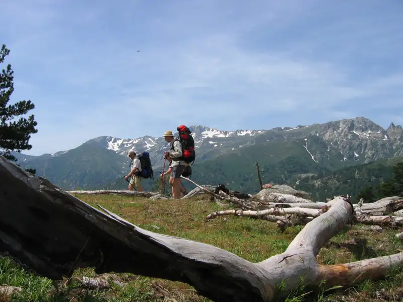 Zwei Wanderer mit Trekkingstöcken und großen Rucksäcken wandern auf einem Bergpfad. Im Hintergrund sind schneebedeckte Berggipfel zu sehen.
