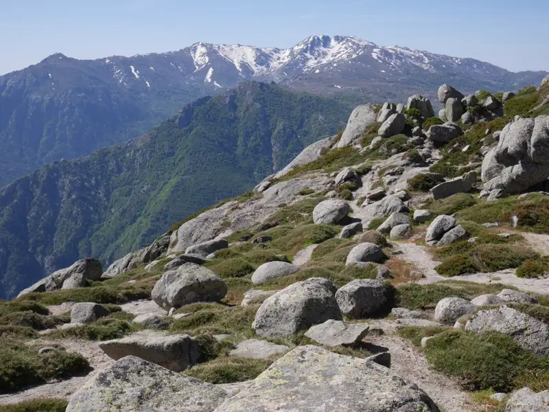 Wanderweg mit Felsen und Vegetation, im Hintergrund schneebedeckte Bergspitzen.