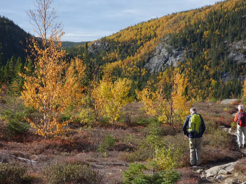 Zwei Wanderer auf einem Pfad in einer herbstlichen Landschaft.