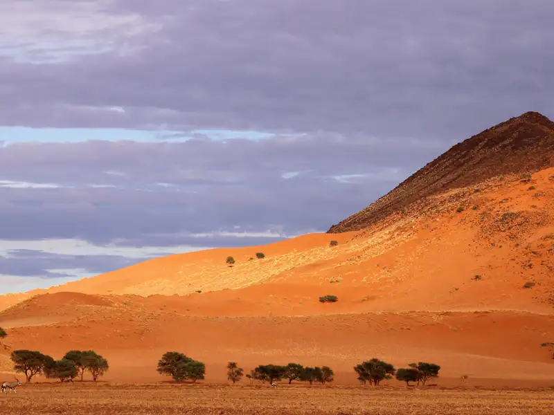 Rote Sanddünen und eine Bergkette unter bewölktem Himmel.
