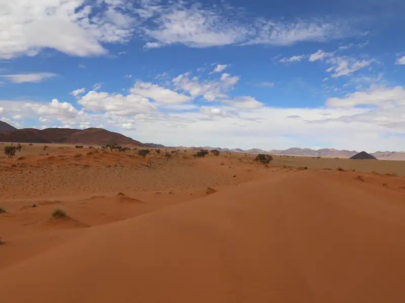Rote Sanddünenlandschaft mit spärlicher Vegetation und Bergen im Hintergrund.