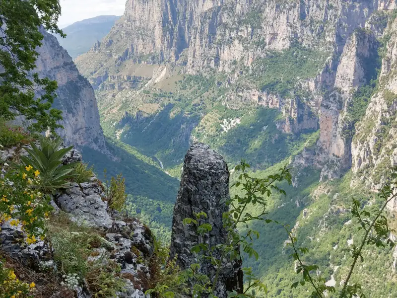 Tiefe Schlucht mit üppiger Vegetation, aufgenommen von einem Aussichtspunkt mit Felsen und Pflanzen im Vordergrund.