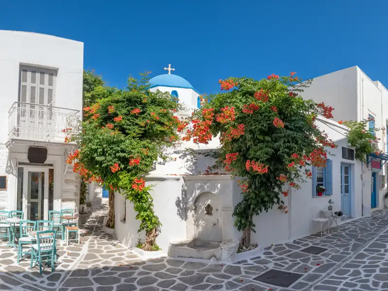 Traditionelle Architektur einer griechischen Inselgasse mit weiß getünchten Häusern, blühenden Pflanzen und einer blau-weißen Kirche.