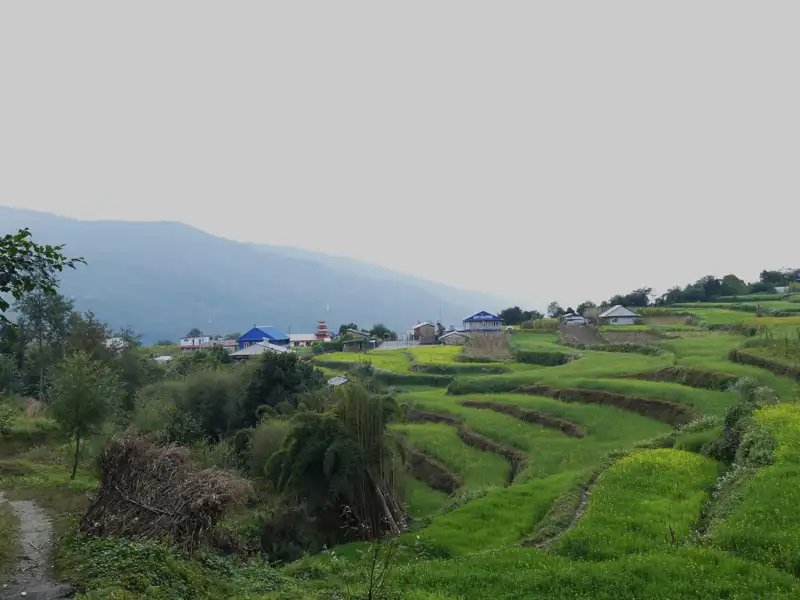 Terrassenförmig angelegte Felder und vereinzelte Häuser in einer bergigen Landschaft.