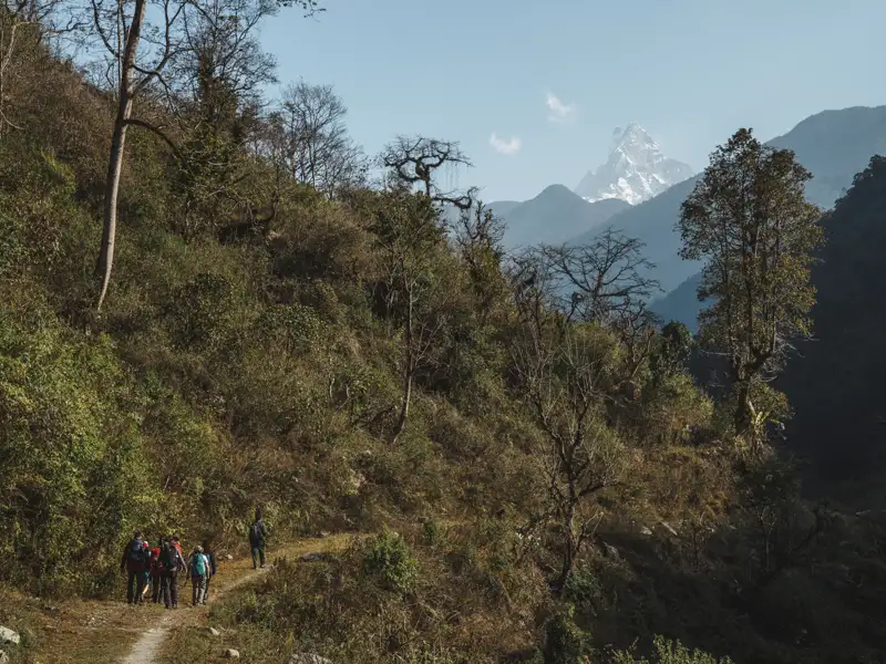 Wanderer auf einem Bergpfad im Himalaya mit Blick auf einen schneebedeckten Gipfel.