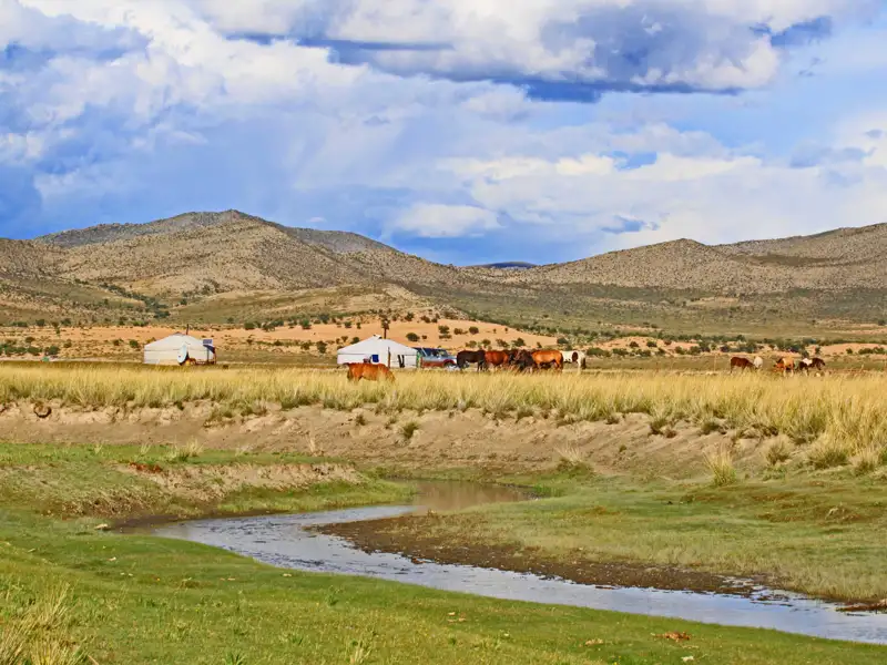 Traditionelle mongolische Jurten in einer hügeligen Landschaft mit grasenden Pferden und einem Fluss.