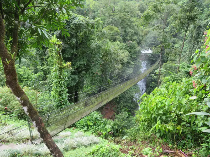 Hängebrücke über einem Wasserfall im Regenwald.