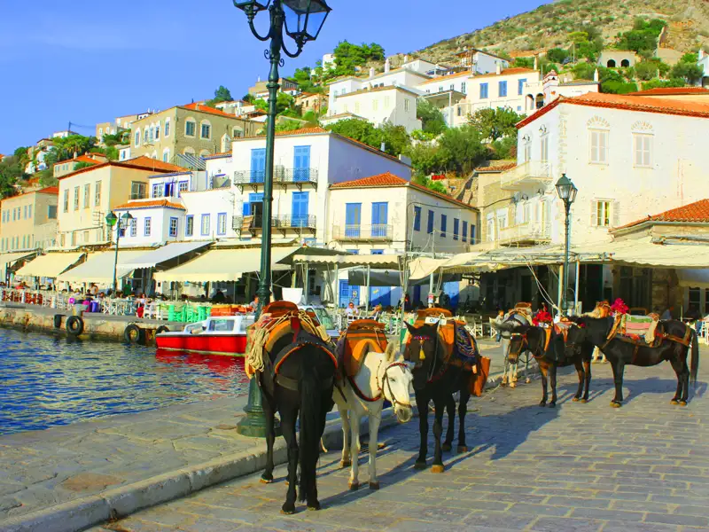 Traditionelle Eseltaxis am Hafen einer griechischen Inselstadt, mit weißen Häusern und Restaurants im Hintergrund.