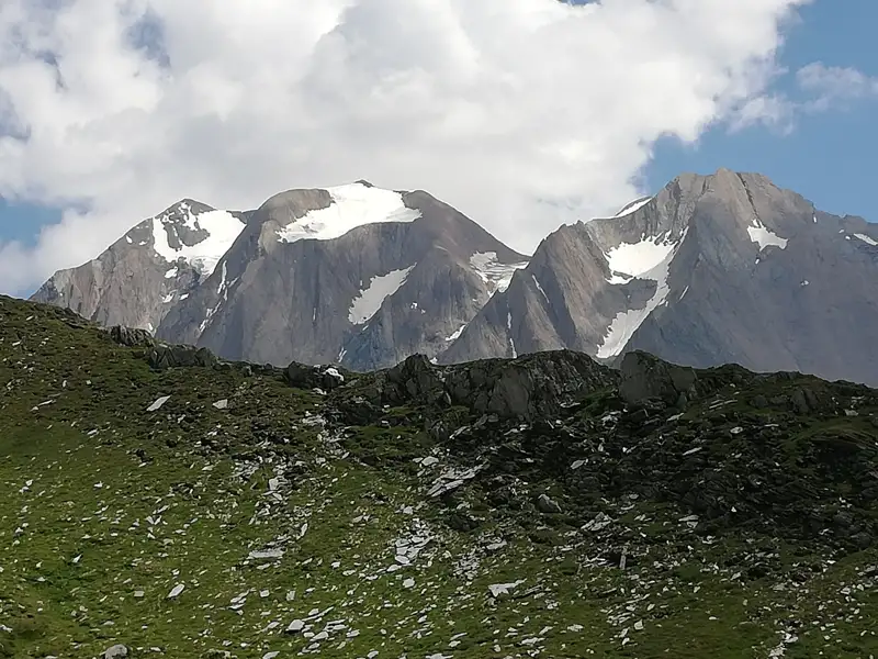 Verschneite Bergspitzen und grüner Hang.