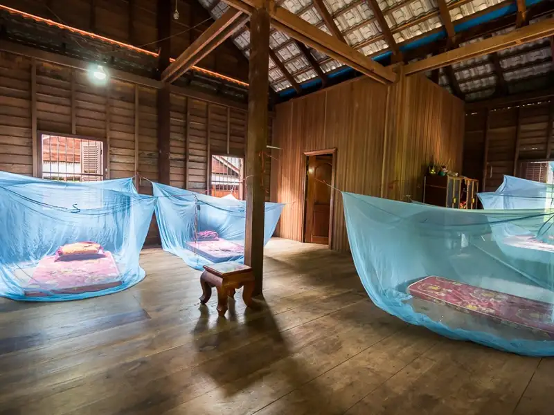 Betten mit Moskitonetzen im Schlafbereich.