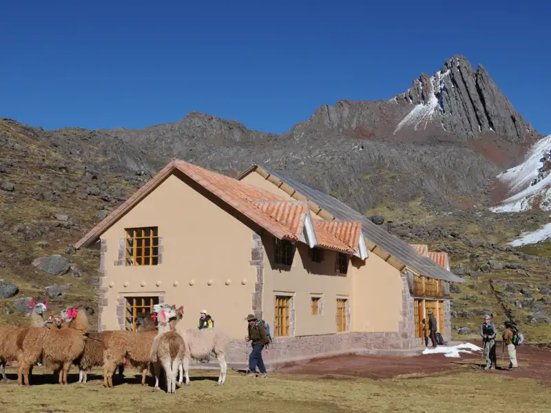 Andenhütte mit Lamas und Wanderern, schneebedeckter Gipfel im Hintergrund.