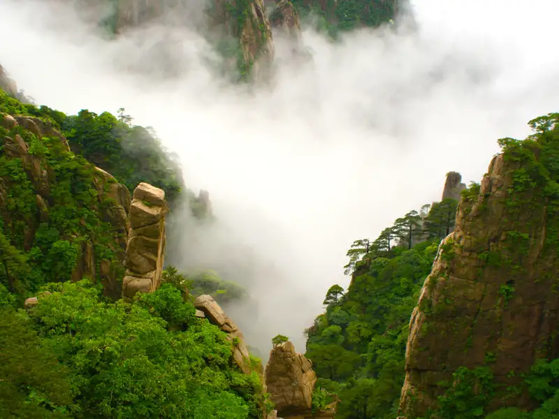 Nebenumhüllte Berglandschaft mit üppiger Vegetation und Felsformationen.