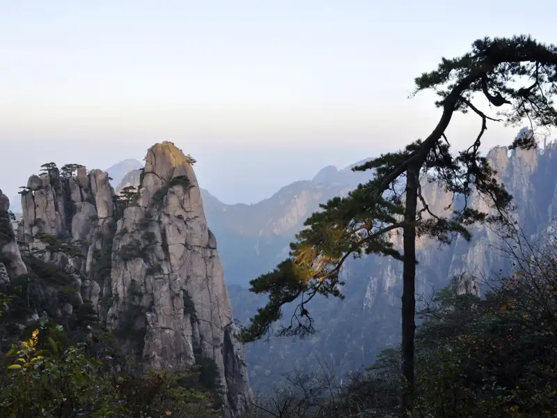 Granitfelsen und Kiefern im Gebirge.