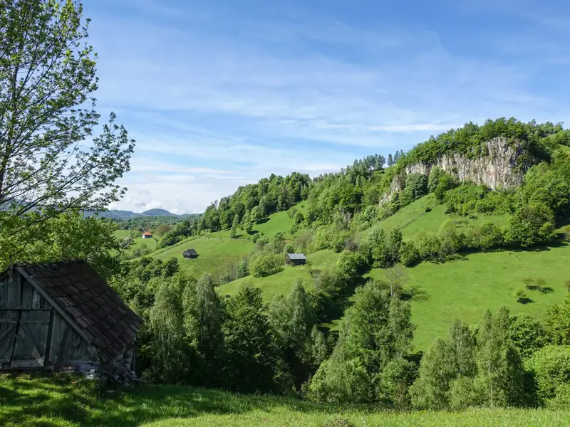Blick auf eine grüne Hügellandschaft mit vereinzelten Häusern und bewaldeten Hängen.