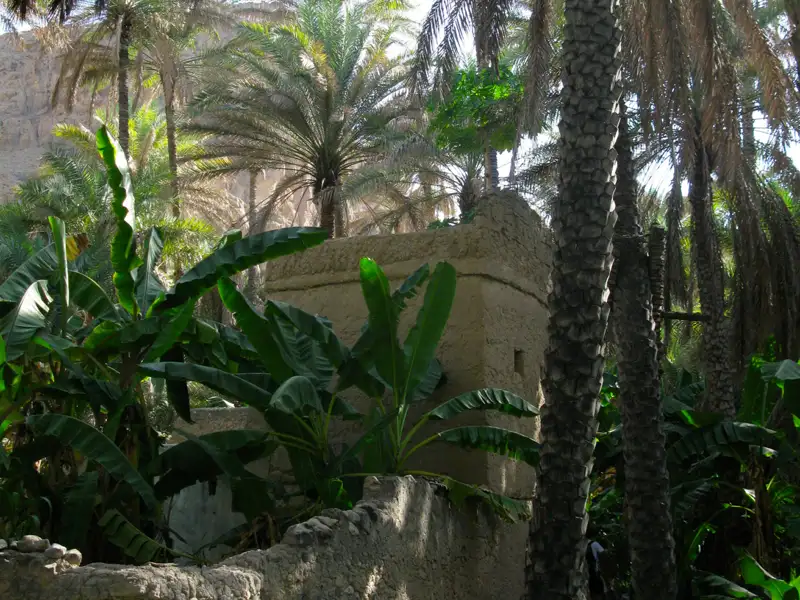 Traditionelles Lehmgebäude in einer Oase mit Palmen und Bananenstauden.