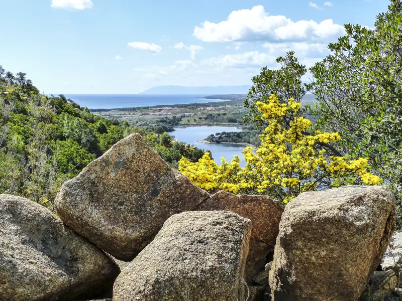 Gelbe Blumen und Felsen im Vordergrund mit Blick auf die Küste.