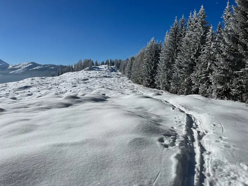 Winterlicher Weg durch verschneite Landschaft