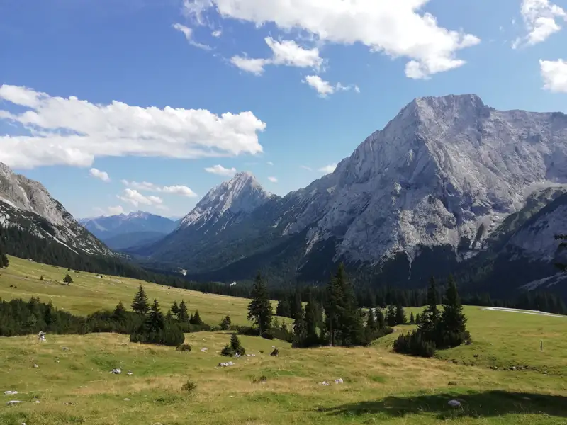 Panorama der Alpen mit Bergwiesen, Tannen und Berggipfeln.