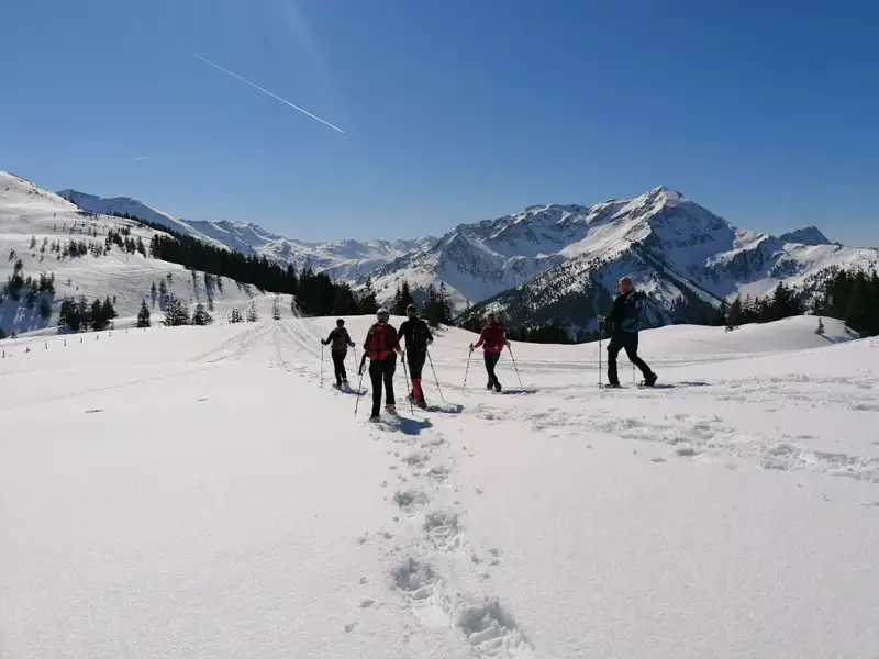 Gruppe beim Schneeschuhwandern in den Bergen.