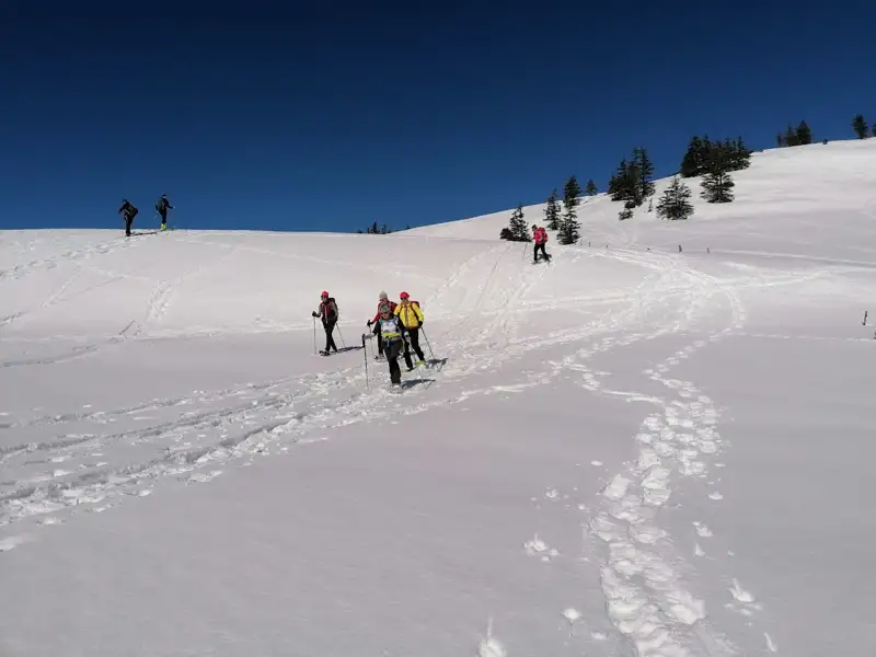Schneeschuhwanderung in den Bergen im Winter. Mehrere Personen mit Schneeschuhen steigen einen verschneiten Hang hinauf, während im Hintergrund andere Ski fahren.