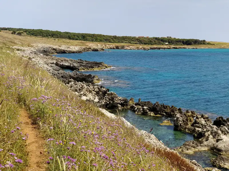 Wanderweg entlang der Küste mit Wildblumen und Blick auf das türkisfarbene Meer.