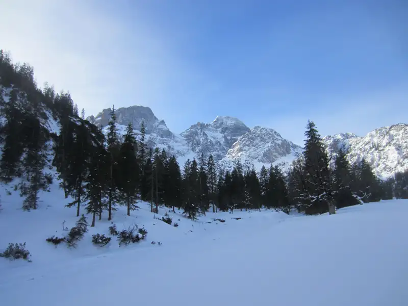 Schneebedeckte Berge und Tannenwald im Winter.