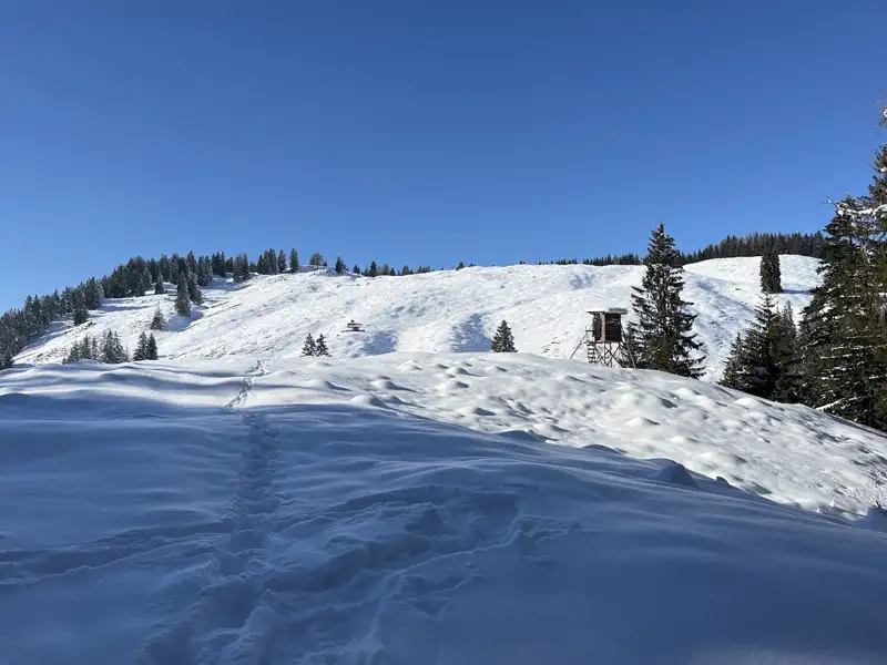 Verschneiter Hang mit Hochsitz und Bäumen im Winter.