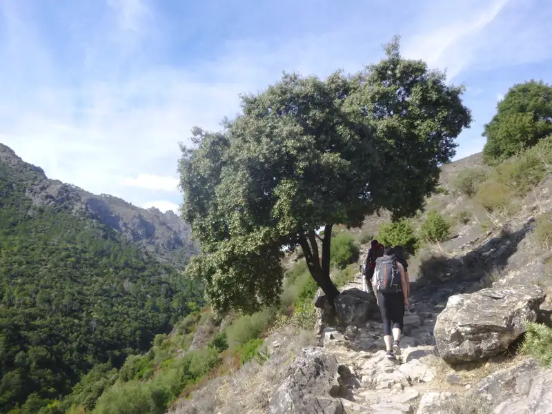 Wanderer auf einem steinigen Bergpfad.