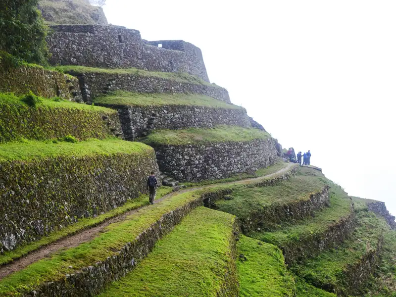 Wanderweg entlang terrassierter Hänge mit Vegetation.