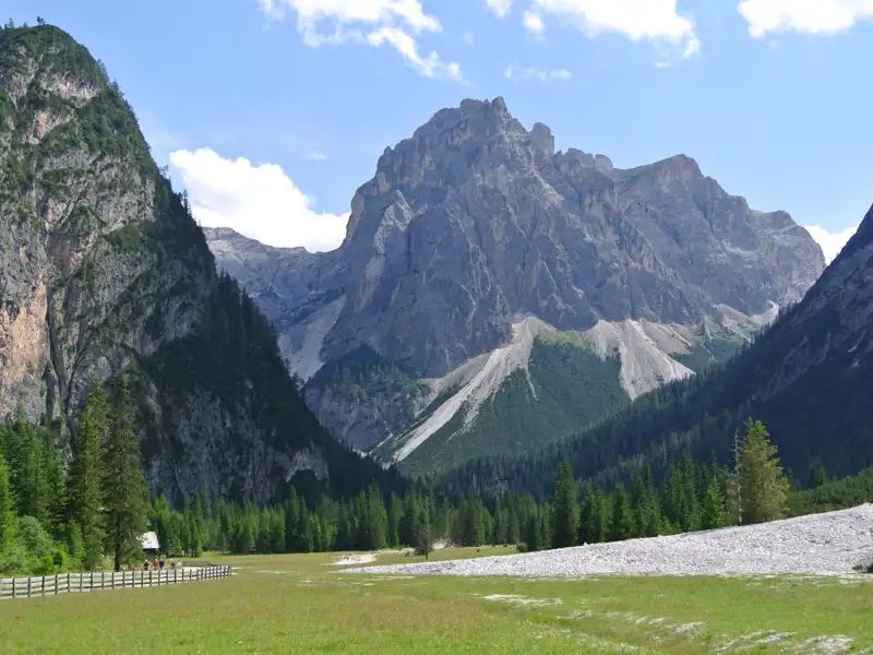 Almwiese mit Blick auf ein Bergmassiv