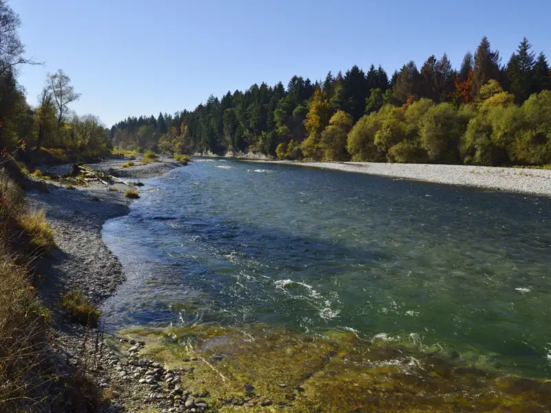 Herbstliche Flusslandschaft mit buntem Uferbewuchs.