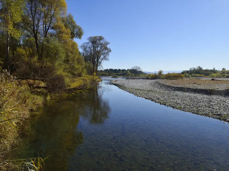 Flusslandschaft im Herbst mit Bäumen und Kiesufer.