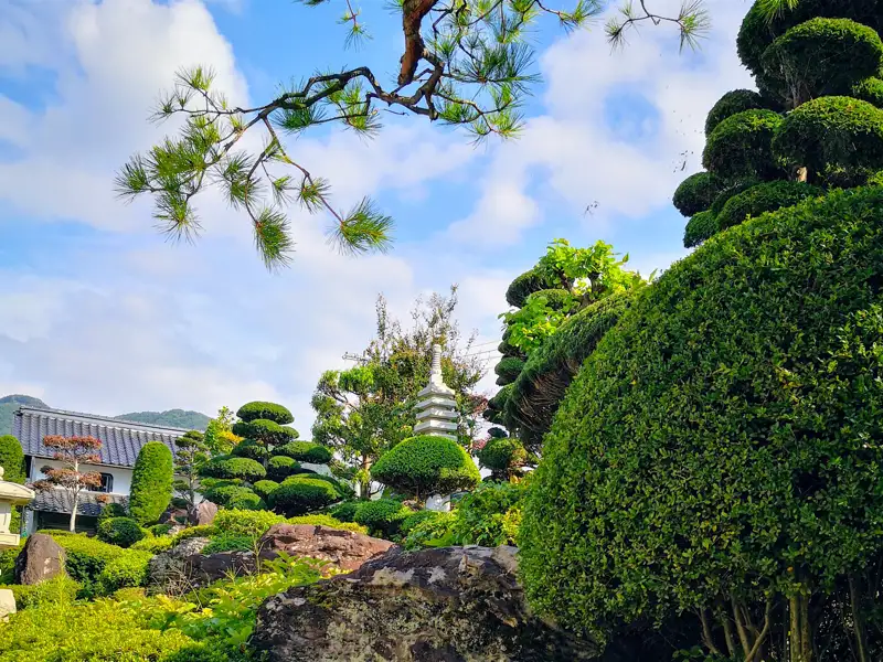 Japanischer Garten mit Formschnitt und Pagode.