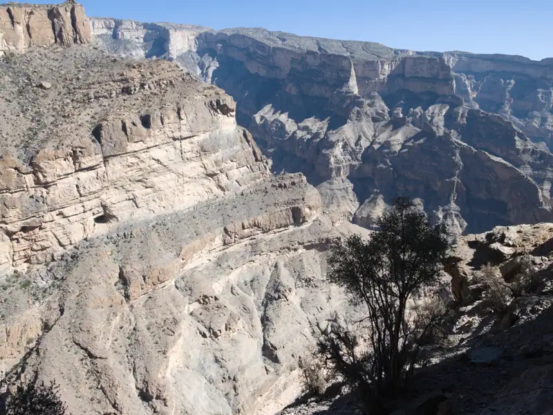 Steile Felswände einer tiefen Schlucht mit einem Baum im Vordergrund.