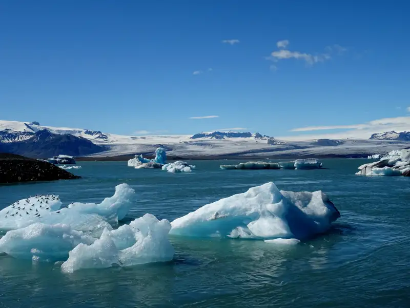 Eisberge im Vordergrund und ein Gletscher im Hintergrund.