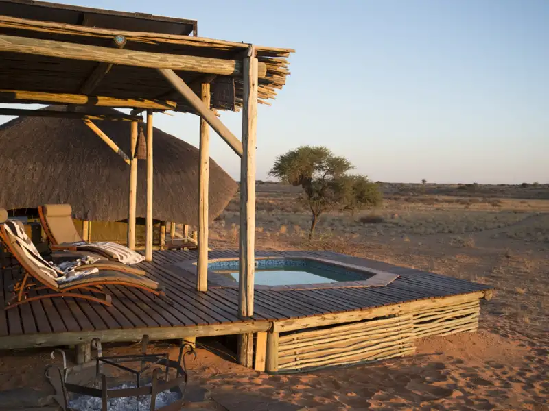 Pool und Liegebereich im Freien mit Blick auf die Savanne.