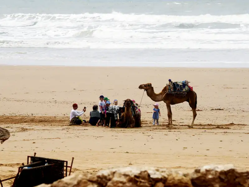 Kinder treffen auf ein Kamel am Strand.