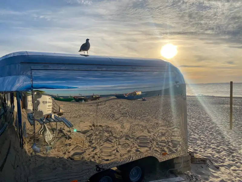 Ausblick auf die Küste mit Wasser und Vegetation.