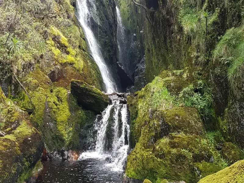 Moosbedeckte Felsen und Wasserfall