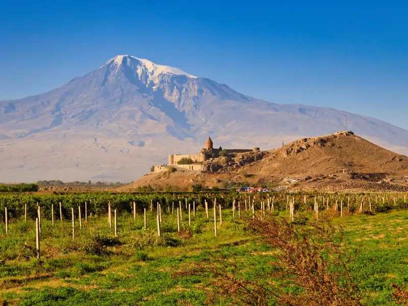 Panoramablick auf das Khor Virap Kloster in Armenien mit dem Berg Ararat im Hintergrund und einem Weinberg im Vordergrund.