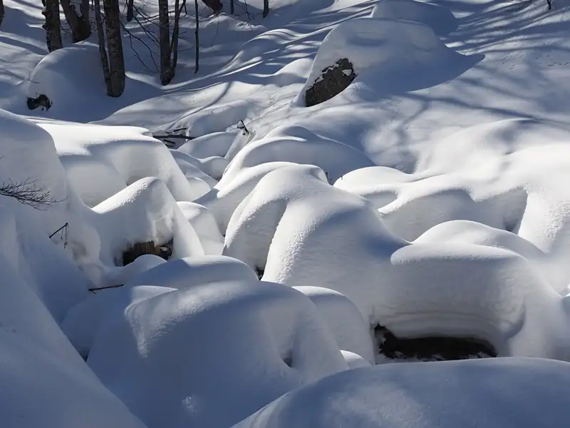 Dicke Schneedecke auf der Landschaft.