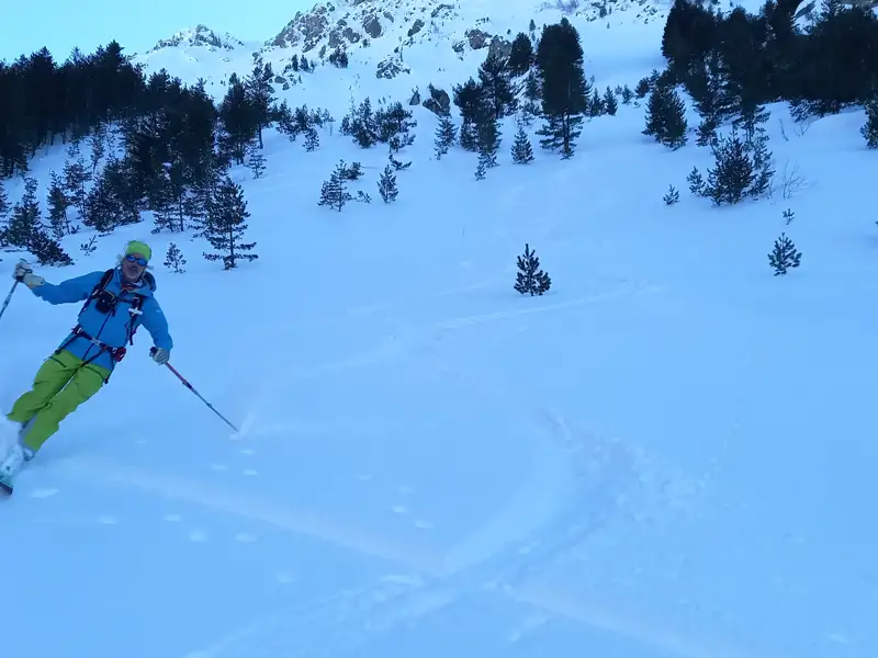 Skifahrer im Tiefschnee zwischen Bäumen mit schneebedeckten Bergen im Hintergrund.