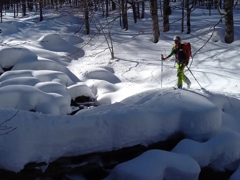 Skitourengeherin mit Rucksack und Stöcken im verschneiten Wald.