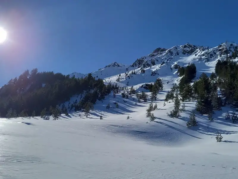 Verschneite Berge und Bäume unter blauem Himmel.